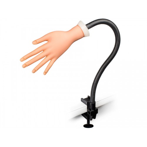 Practice Hand with Table Mount